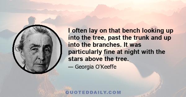 I often lay on that bench looking up into the tree, past the trunk and up into the branches. It was particularly fine at night with the stars above the tree.