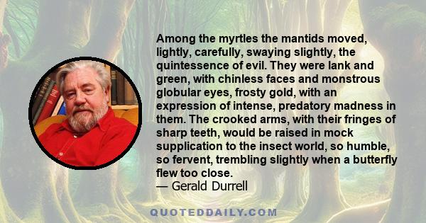 Among the myrtles the mantids moved, lightly, carefully, swaying slightly, the quintessence of evil. They were lank and green, with chinless faces and monstrous globular eyes, frosty gold, with an expression of intense, 