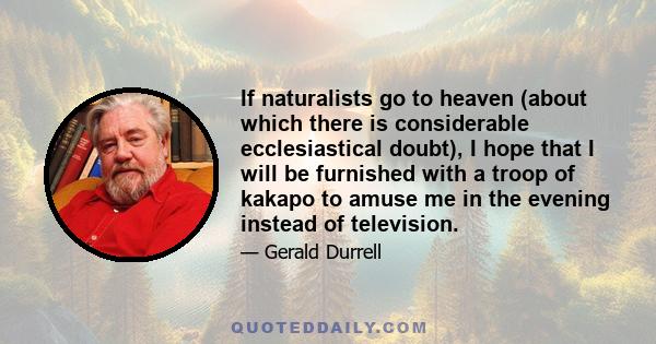 If naturalists go to heaven (about which there is considerable ecclesiastical doubt), I hope that I will be furnished with a troop of kakapo to amuse me in the evening instead of television.