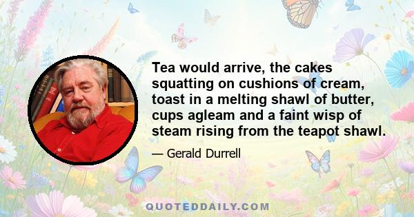 Tea would arrive, the cakes squatting on cushions of cream, toast in a melting shawl of butter, cups agleam and a faint wisp of steam rising from the teapot shawl.