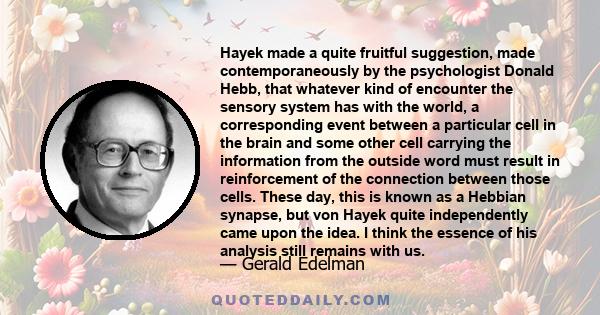 Hayek made a quite fruitful suggestion, made contemporaneously by the psychologist Donald Hebb, that whatever kind of encounter the sensory system has with the world, a corresponding event between a particular cell in