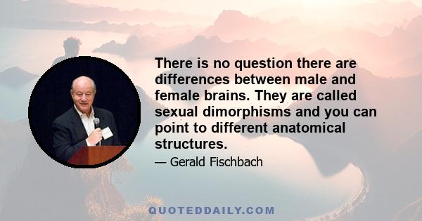 There is no question there are differences between male and female brains. They are called sexual dimorphisms and you can point to different anatomical structures.