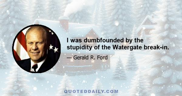 I was dumbfounded by the stupidity of the Watergate break-in.