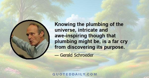 Knowing the plumbing of the universe, intricate and awe-inspiring though that plumbing might be, is a far cry from discovering its purpose.