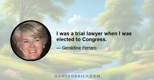 I was a trial lawyer when I was elected to Congress.