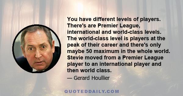 You have different levels of players. There's are Premier League, international and world-class levels. The world-class level is players at the peak of their career and there's only maybe 50 maximum in the whole world.