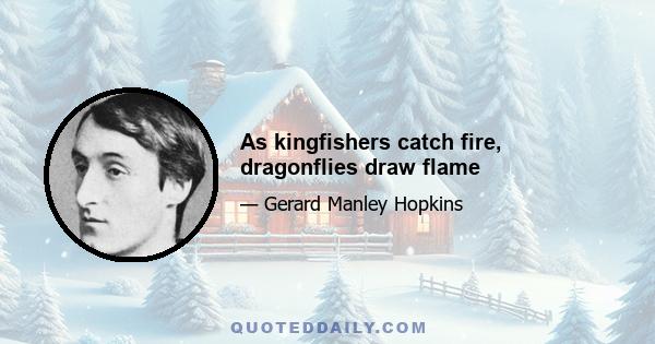 As kingfishers catch fire, dragonflies draw flame