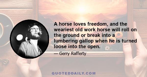 A horse loves freedom, and the weariest old work horse will roll on the ground or break into a lumbering gallop when he is turned loose into the open.