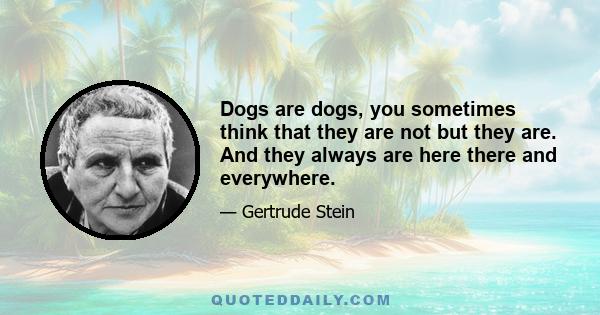 Dogs are dogs, you sometimes think that they are not but they are. And they always are here there and everywhere.