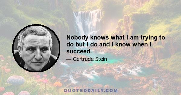 Nobody knows what I am trying to do but I do and I know when I succeed.