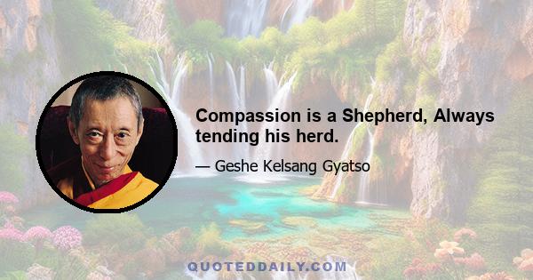 Compassion is a Shepherd, Always tending his herd.