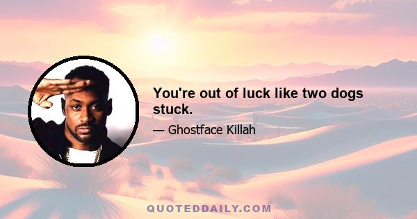 You're out of luck like two dogs stuck.