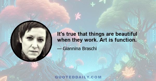 It's true that things are beautiful when they work. Art is function.