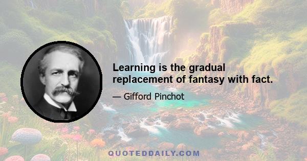 Learning is the gradual replacement of fantasy with fact.