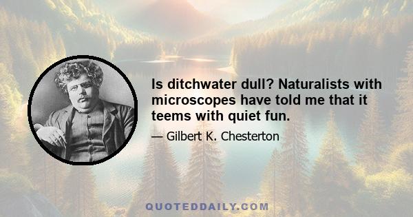 Is ditchwater dull? Naturalists with microscopes have told me that it teems with quiet fun.