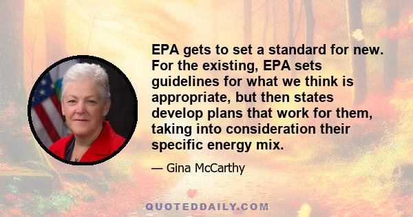 EPA gets to set a standard for new. For the existing, EPA sets guidelines for what we think is appropriate, but then states develop plans that work for them, taking into consideration their specific energy mix.