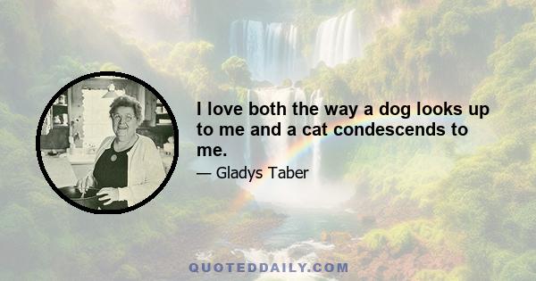 I love both the way a dog looks up to me and a cat condescends to me.