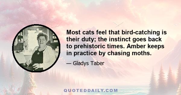 Most cats feel that bird-catching is their duty; the instinct goes back to prehistoric times. Amber keeps in practice by chasing moths.