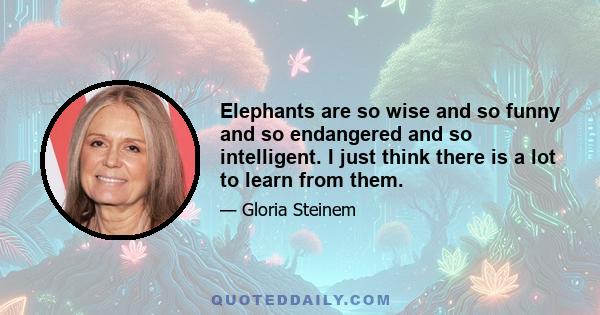 Elephants are so wise and so funny and so endangered and so intelligent. I just think there is a lot to learn from them.