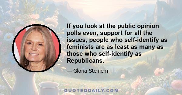 If you look at the public opinion polls even, support for all the issues, people who self-identify as feminists are as least as many as those who self-identify as Republicans.