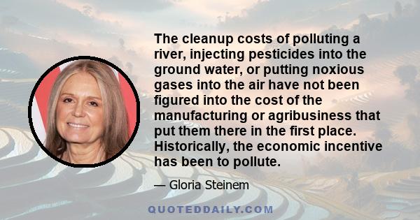 The cleanup costs of polluting a river, injecting pesticides into the ground water, or putting noxious gases into the air have not been figured into the cost of the manufacturing or agribusiness that put them there in