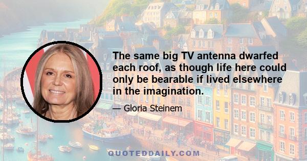 The same big TV antenna dwarfed each roof, as though life here could only be bearable if lived elsewhere in the imagination.