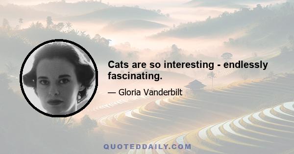 Cats are so interesting - endlessly fascinating.