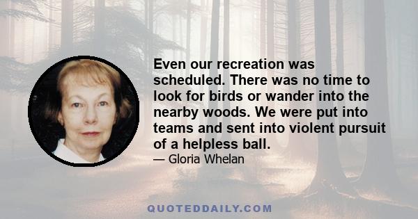 Even our recreation was scheduled. There was no time to look for birds or wander into the nearby woods. We were put into teams and sent into violent pursuit of a helpless ball.