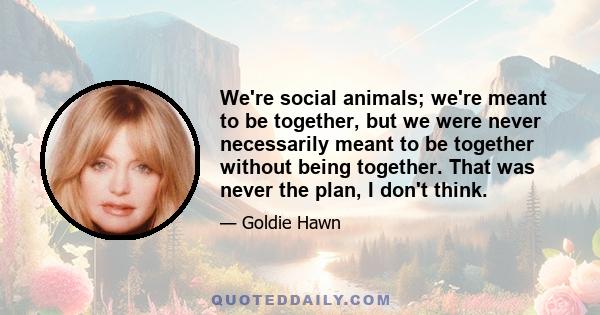 We're social animals; we're meant to be together, but we were never necessarily meant to be together without being together. That was never the plan, I don't think.