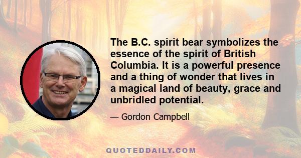 The B.C. spirit bear symbolizes the essence of the spirit of British Columbia. It is a powerful presence and a thing of wonder that lives in a magical land of beauty, grace and unbridled potential.