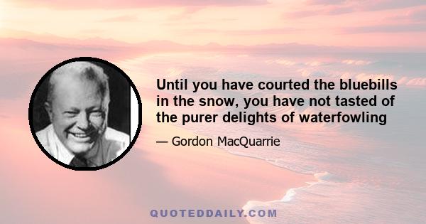 Until you have courted the bluebills in the snow, you have not tasted of the purer delights of waterfowling