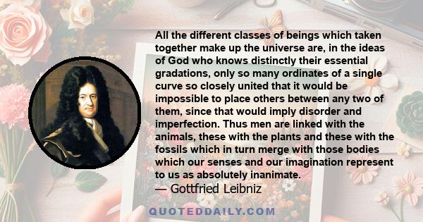 All the different classes of beings which taken together make up the universe are, in the ideas of God who knows distinctly their essential gradations, only so many ordinates of a single curve so closely united that it