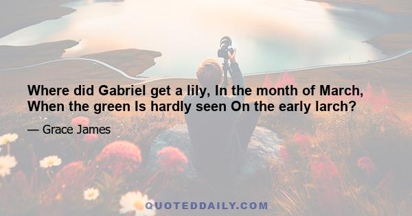 Where did Gabriel get a lily, In the month of March, When the green Is hardly seen On the early larch?