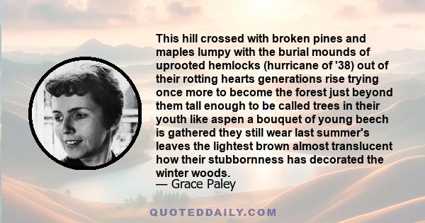 This hill crossed with broken pines and maples lumpy with the burial mounds of uprooted hemlocks (hurricane of '38) out of their rotting hearts generations rise trying once more to become the forest just beyond them