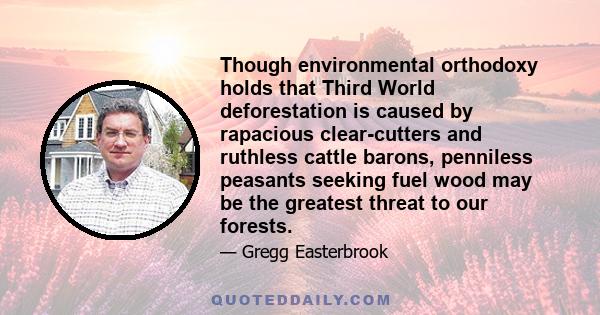 Though environmental orthodoxy holds that Third World deforestation is caused by rapacious clear-cutters and ruthless cattle barons, penniless peasants seeking fuel wood may be the greatest threat to our forests.