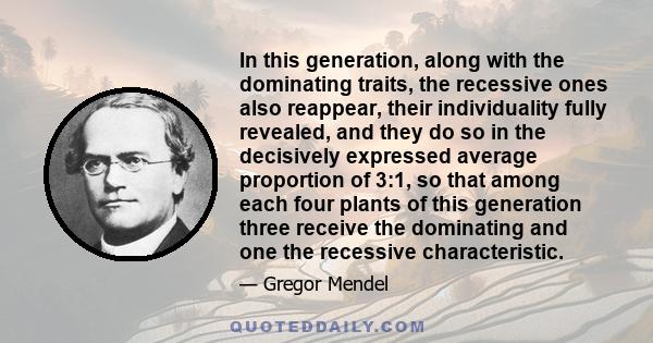 In this generation, along with the dominating traits, the recessive ones also reappear, their individuality fully revealed, and they do so in the decisively expressed average proportion of 3:1, so that among each four