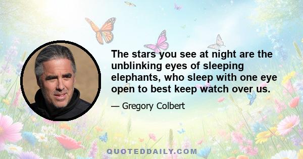 The stars you see at night are the unblinking eyes of sleeping elephants, who sleep with one eye open to best keep watch over us.