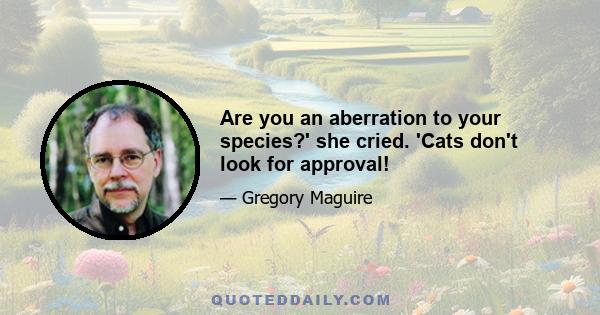 Are you an aberration to your species?' she cried. 'Cats don't look for approval!