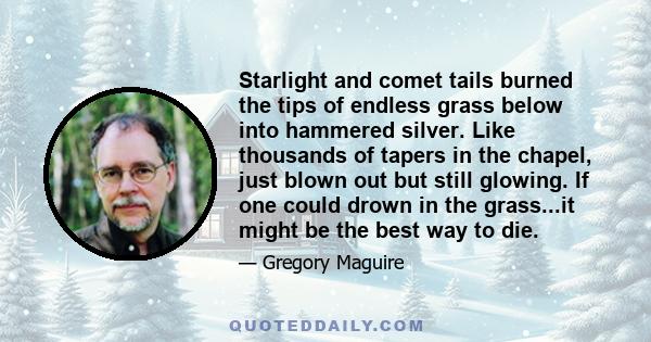 Starlight and comet tails burned the tips of endless grass below into hammered silver. Like thousands of tapers in the chapel, just blown out but still glowing. If one could drown in the grass...it might be the best way 