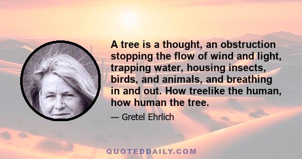 A tree is a thought, an obstruction stopping the flow of wind and light, trapping water, housing insects, birds, and animals, and breathing in and out. How treelike the human, how human the tree.