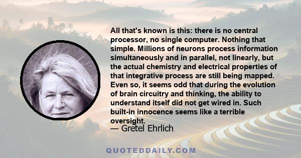 All that's known is this: there is no central processor, no single computer. Nothing that simple. Millions of neurons process information simultaneously and in parallel, not linearly, but the actual chemistry and