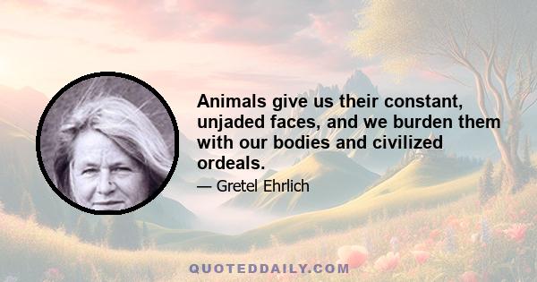 Animals give us their constant, unjaded faces, and we burden them with our bodies and civilized ordeals.