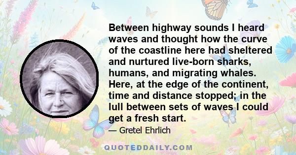 Between highway sounds I heard waves and thought how the curve of the coastline here had sheltered and nurtured live-born sharks, humans, and migrating whales. Here, at the edge of the continent, time and distance