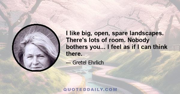 I like big, open, spare landscapes. There's lots of room. Nobody bothers you... I feel as if I can think there.