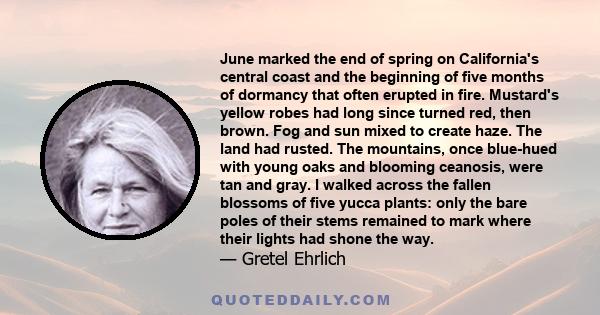 June marked the end of spring on California's central coast and the beginning of five months of dormancy that often erupted in fire. Mustard's yellow robes had long since turned red, then brown. Fog and sun mixed to