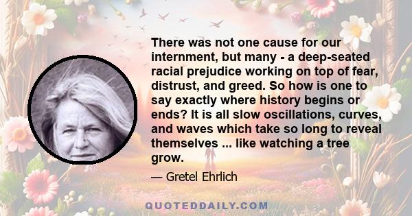 There was not one cause for our internment, but many - a deep-seated racial prejudice working on top of fear, distrust, and greed. So how is one to say exactly where history begins or ends? It is all slow oscillations,