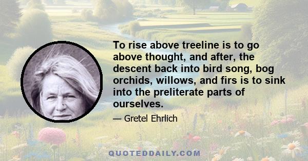 To rise above treeline is to go above thought, and after, the descent back into bird song, bog orchids, willows, and firs is to sink into the preliterate parts of ourselves.