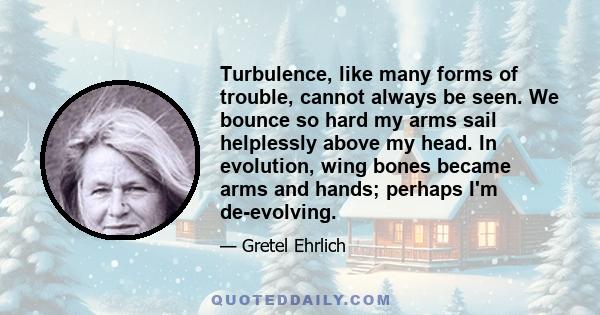 Turbulence, like many forms of trouble, cannot always be seen. We bounce so hard my arms sail helplessly above my head. In evolution, wing bones became arms and hands; perhaps I'm de-evolving.