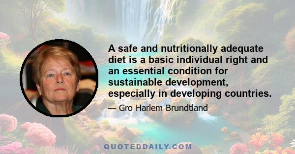 A safe and nutritionally adequate diet is a basic individual right and an essential condition for sustainable development, especially in developing countries.