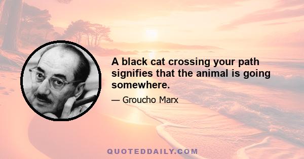 A black cat crossing your path signifies that the animal is going somewhere.